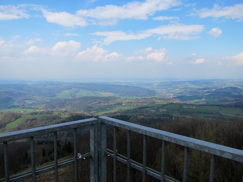 hochwienerwald